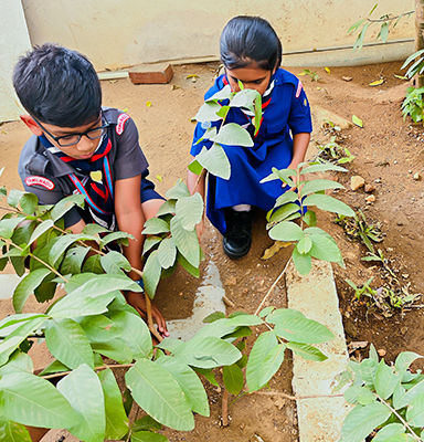 Kids Club Cbse School